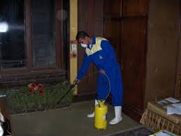 شركة رش مبيدات بحائل