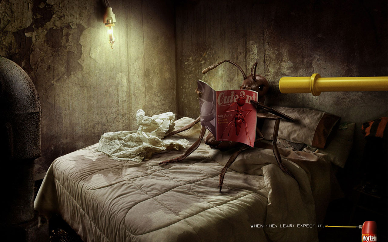 شركة مكافحة حشرات ببريدة