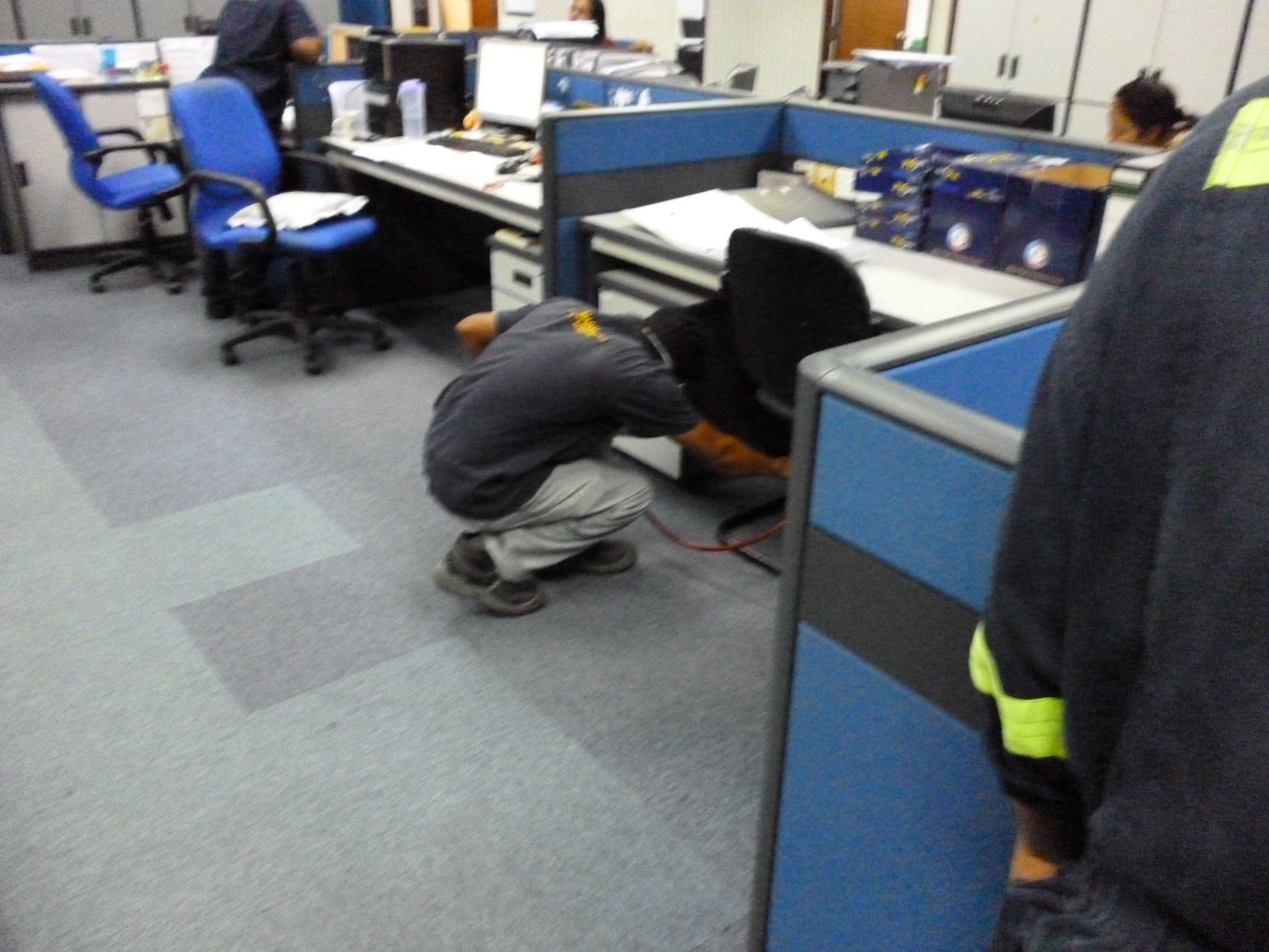 شركة رش مبيدات بعنيزة