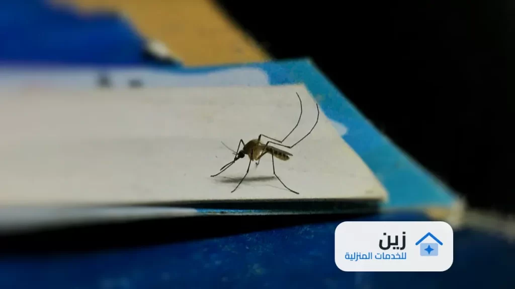 شركة رش مبيدات بشقراء 0502006070