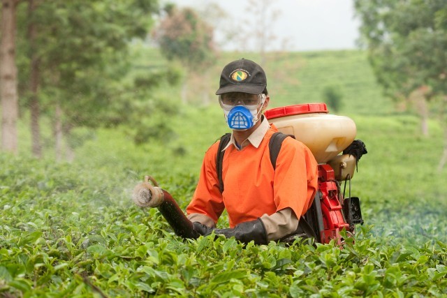 شركة رش مبيدات بالرس