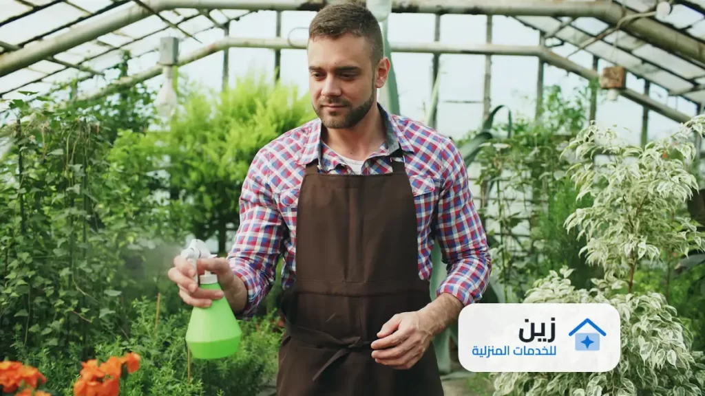 شركة مكافحة حشرات بمكة 0502006070 شركة زين