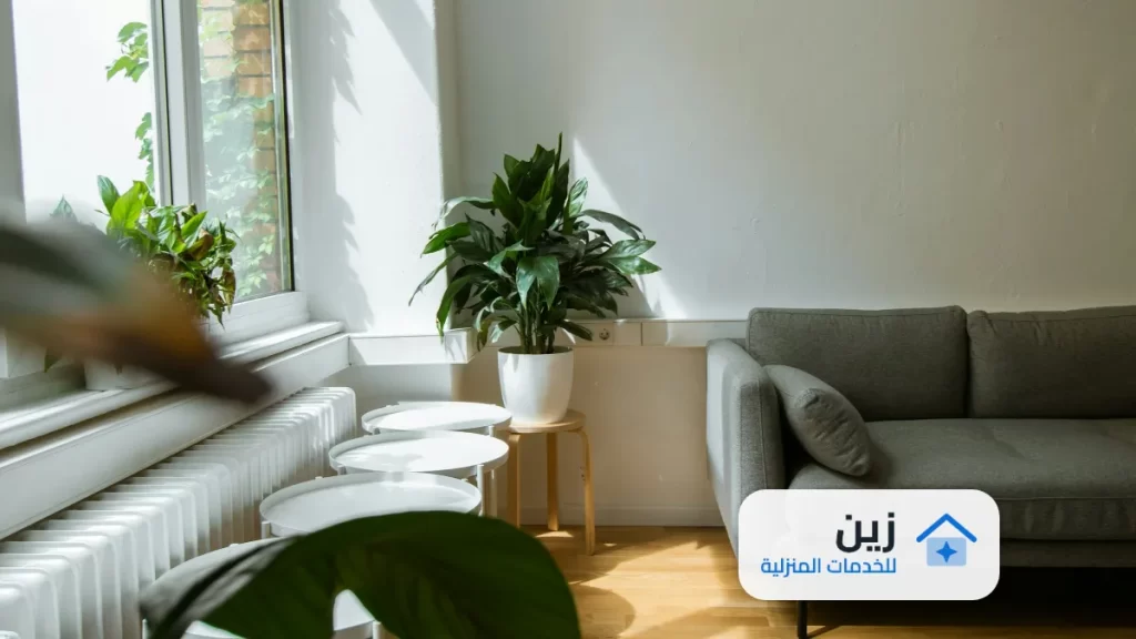 شركة تنظيف كنب بعسير