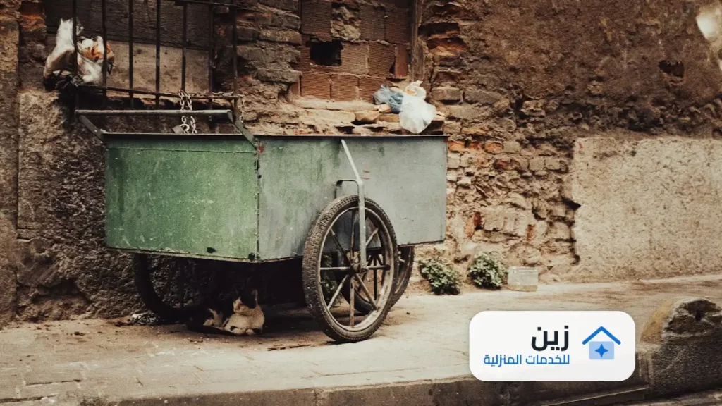 شركة تنظيف موكيت بابها