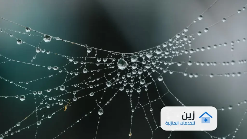 شركة مكافحه عقارب بالرياض