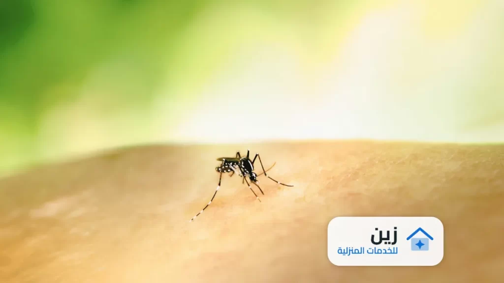 شركة مكافحه الذباب بالرياض 0502006070