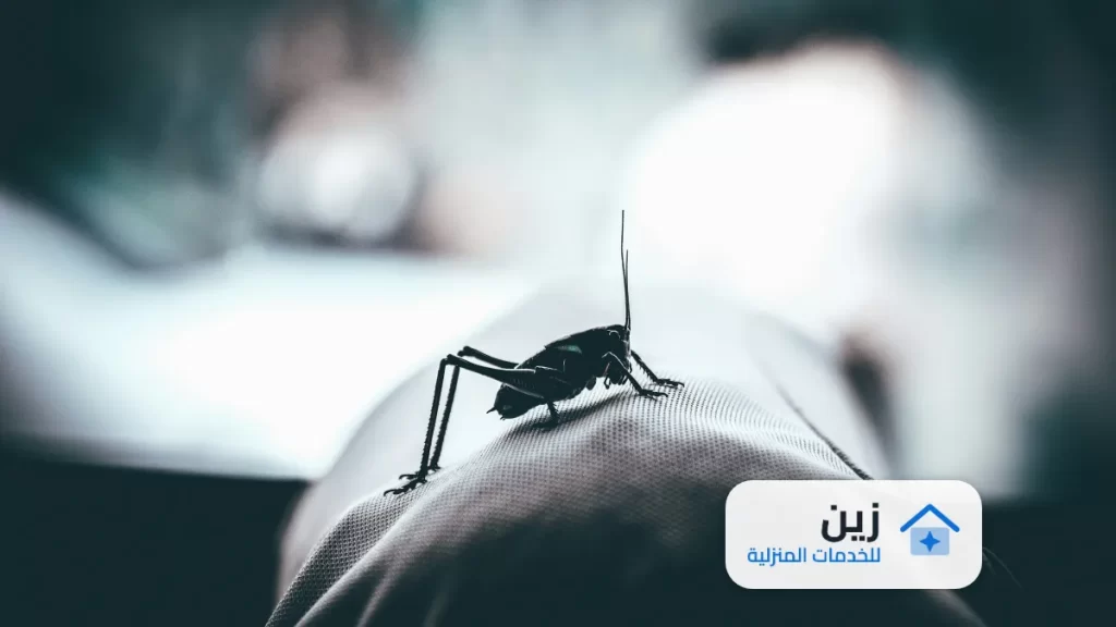 شركة مكافحه الوزغ بالرياض 0502006070