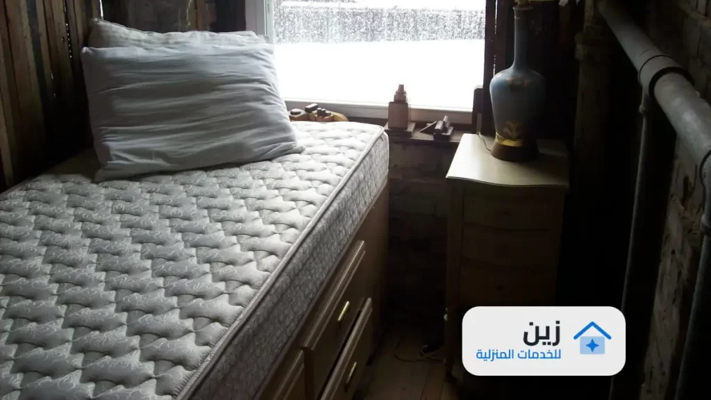 شركة مكافحة حشرات بالدمام