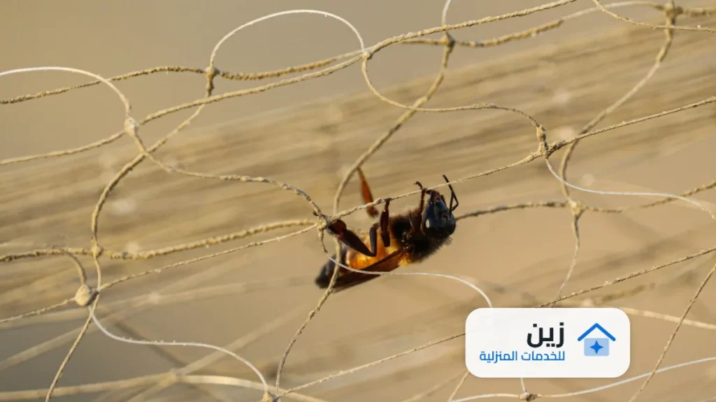 شركة مكافحه تعابين بالرياض 0502006070