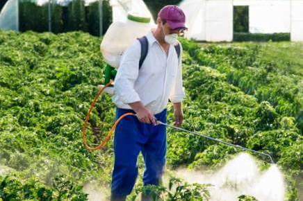 أفضل المبيدات الأمنة علي الأسرة