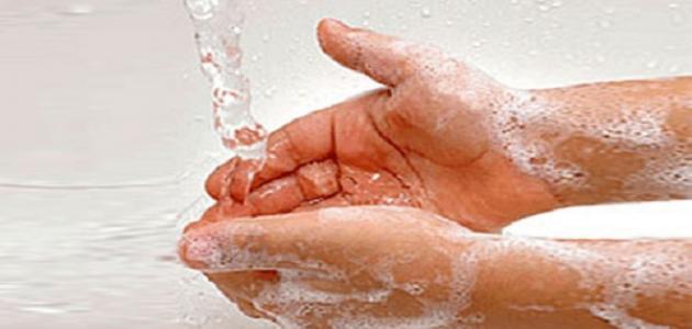 طرق الوقاية من الحشرات