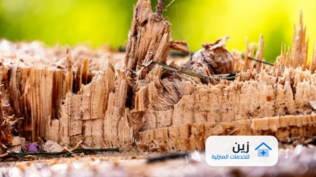 شركة رش الدفان بالبكيرية