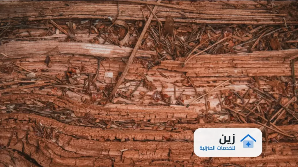 شركة رش دفان بالخرج