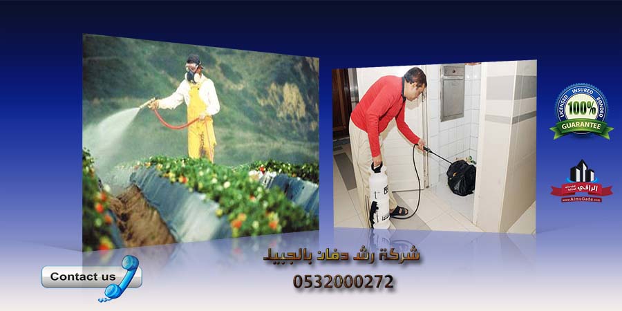 شركة رش دفان بالجبيل