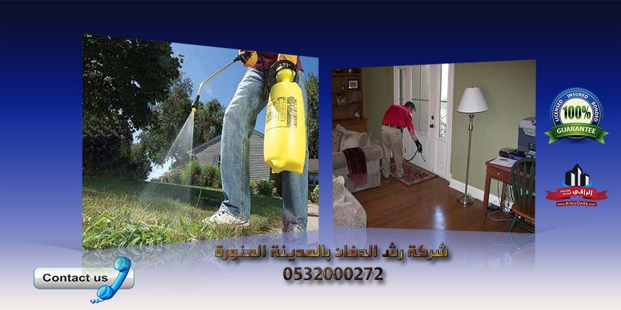شركة رش الدفان بالمدينة المنورة