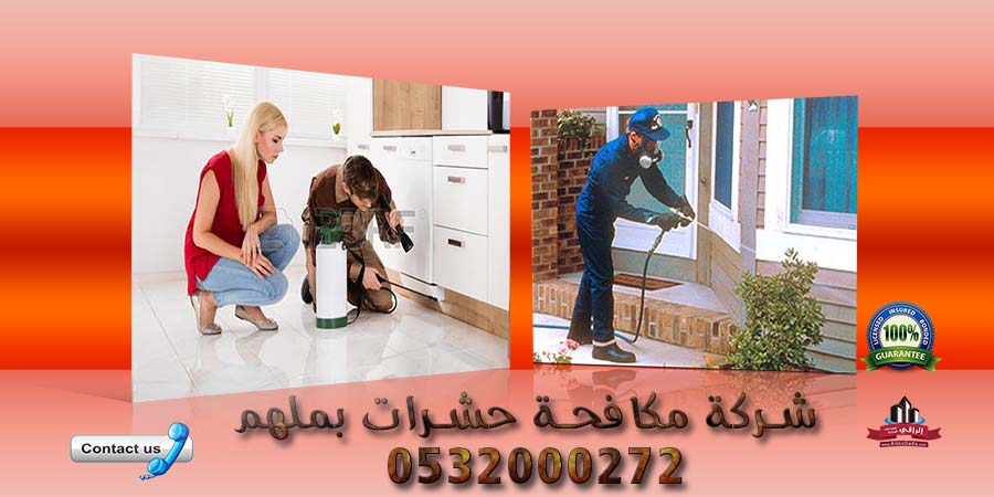 شركة مكافحة حشرات بملهم