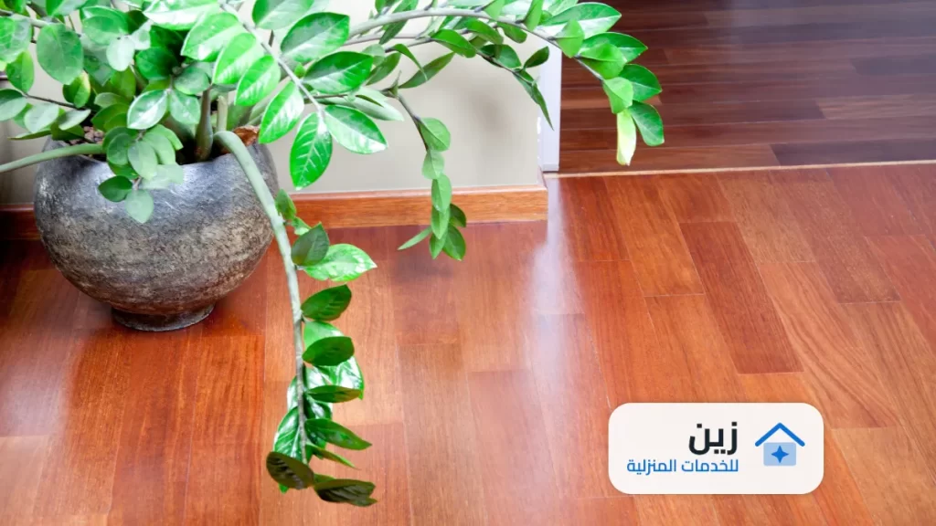 شركة جلي بلاط بملهم