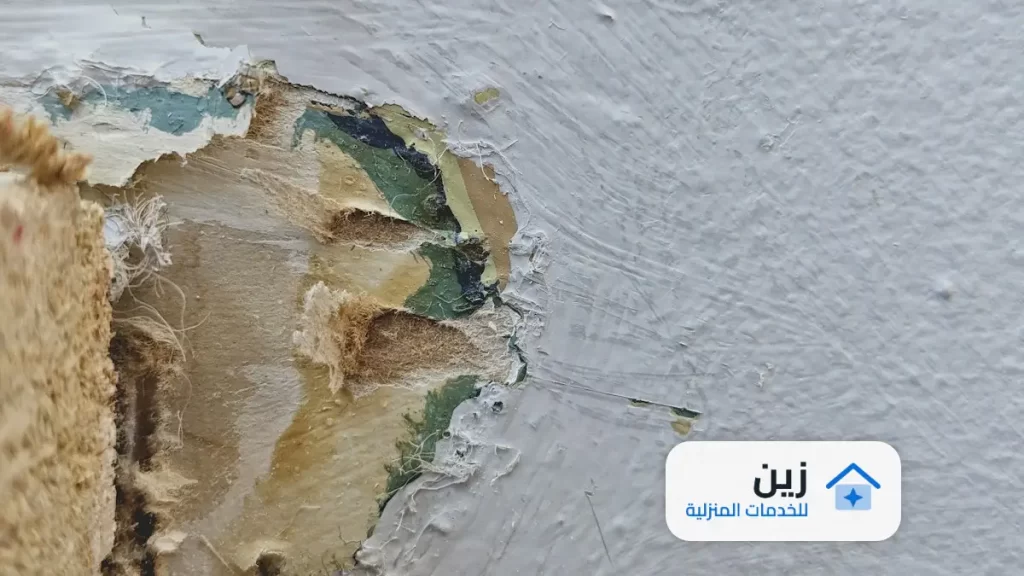 شركة كشف تسربات المياه