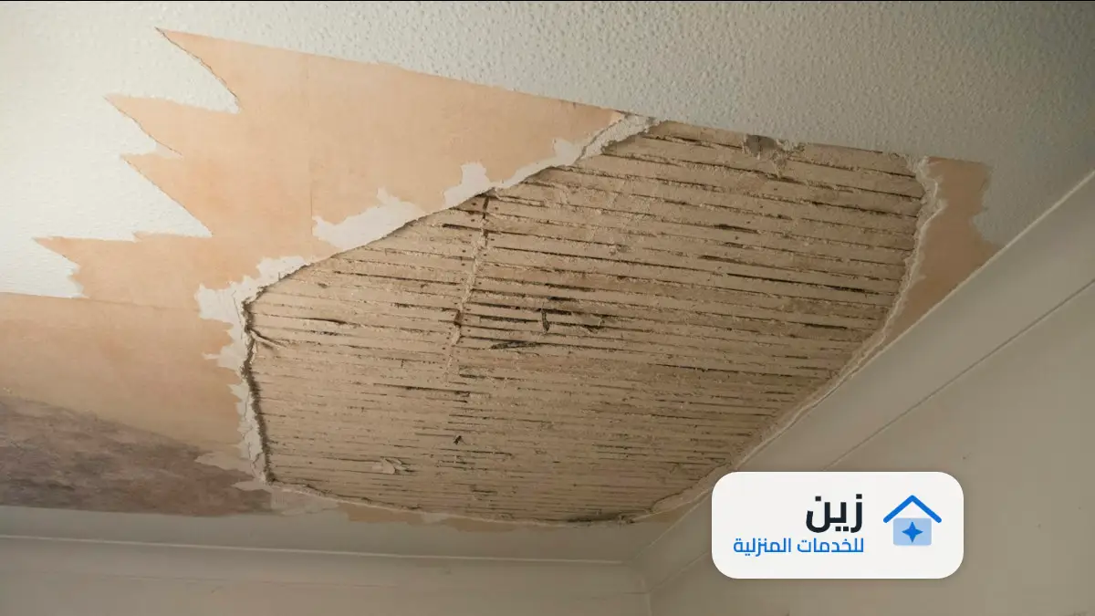 كشف تسربات المياه