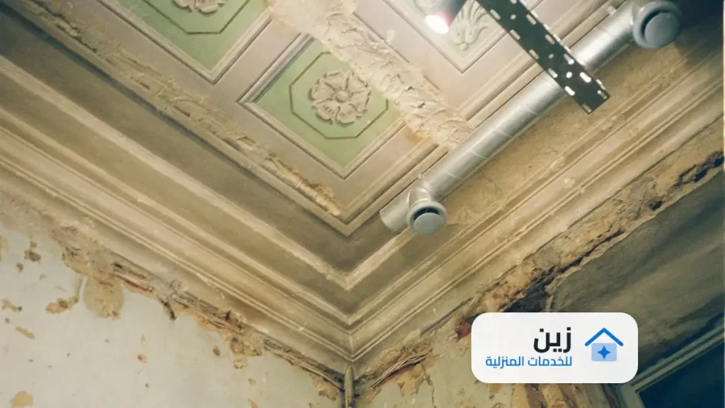 شركة كشف تسربات بالرياض