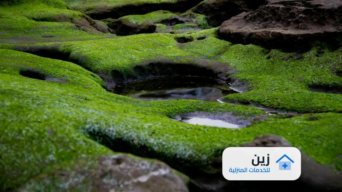 أسباب وحل ارتفاع فواتير المياه بالمذنب