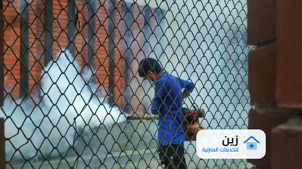 شركة مكافحة حشرات بابها